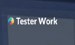tester work under review